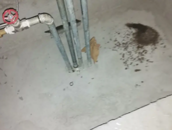 任县卫生间测漏水价格明细